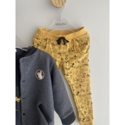 Ensemble Absorba