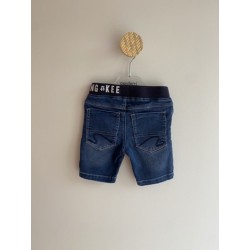 Short Absorba