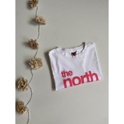 Teeshirt The North Face