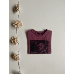 Teeshirt IKKS